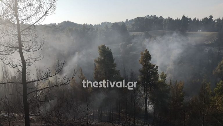Χαλκιδική: Υπό πλήρη έλεγχο η φωτιά στη Φούρκα