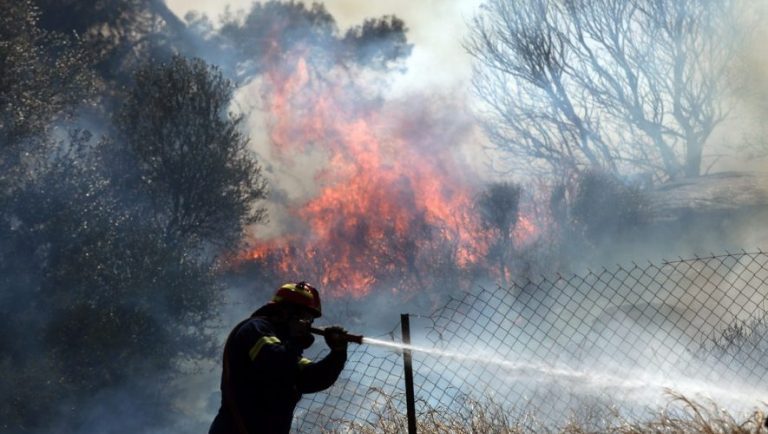 Πυροσβεστική: 39 δασικές πυρκαγιές το τελευταίο 24ωρο