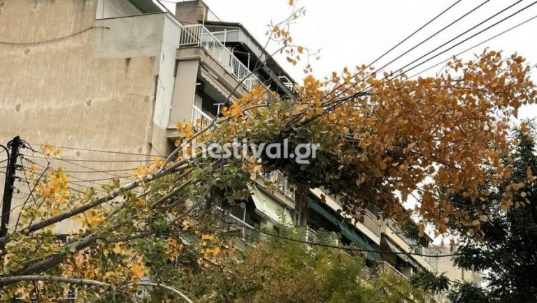 Πτώσεις δέντρων τα ξημερώματα στη Θεσσαλονίκη (video)
