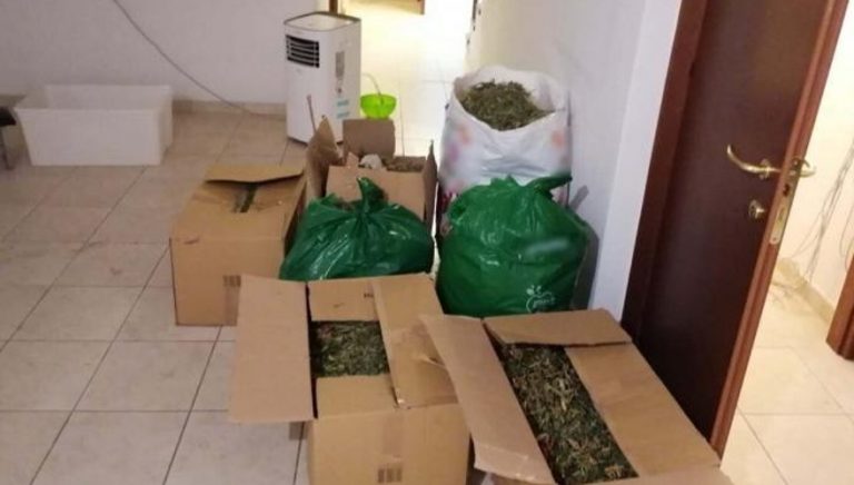 Θεσσαλονίκη: Έστησαν εργαστήριο κάνναβης σε μονοκατοικία