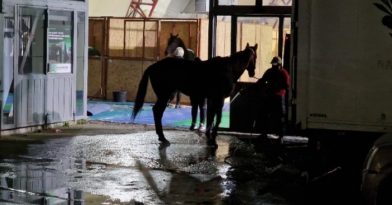 Θεσσαλονίκη: Βγαίνουν 30 άλογα σε Τσιμισκή και παραλιακή