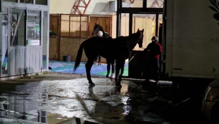 Θεσσαλονίκη: Βγαίνουν 30 άλογα σε Τσιμισκή και παραλιακή
