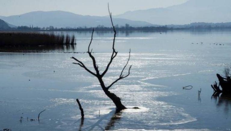 Έβαλε να ρίξουν στη λίμνη την έγκυο σύντροφό του για να αποβάλει!