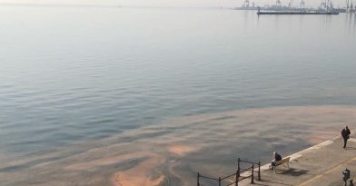 Θεσσαλονίκη: Γέμισε λευκές μέδουσες και σκουπίδια ο Θερμαϊκός (vid)