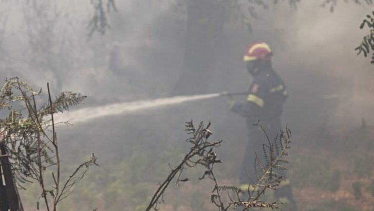 Μεγάλη φωτιά στην Κρήτη: Κινητοποίηση πυροσβεστικών δυνάμεων και 112
