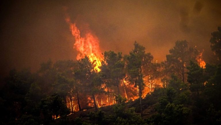 Πυρκαγιές: Αύξηση σχεδόν 22% τους πρώτους 5 μήνες του 2024