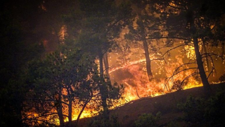 Πώς η Τεχνητή Νοημοσύνη θα ανιχνεύει και θα προειδοποιεί για πυρκαγιές