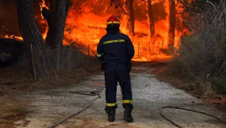 Κεφαλονιά: Συνελήφθη εποχικός πυροσβέστης για εμπρησμό