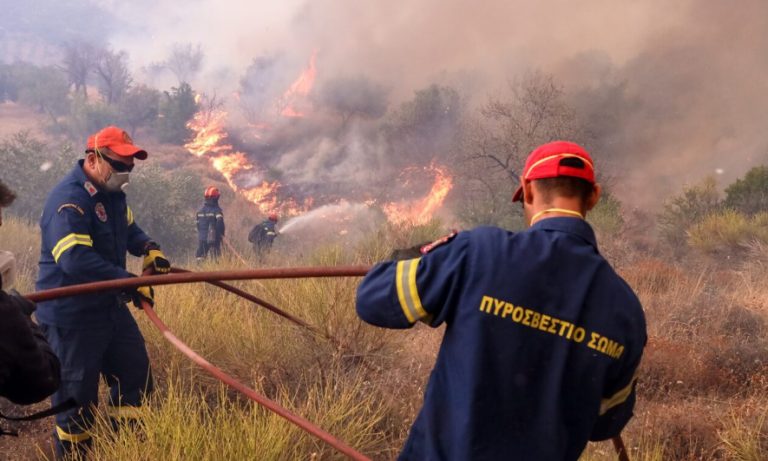 Μεγάλη φωτιά στην Πιερία και κινητοποίηση της Πυροσβεστικής