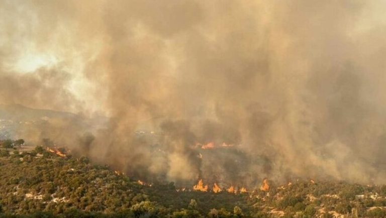 Κύπρος: Εκτός ελέγχου μεγάλη φωτιά στη Λεμεσό