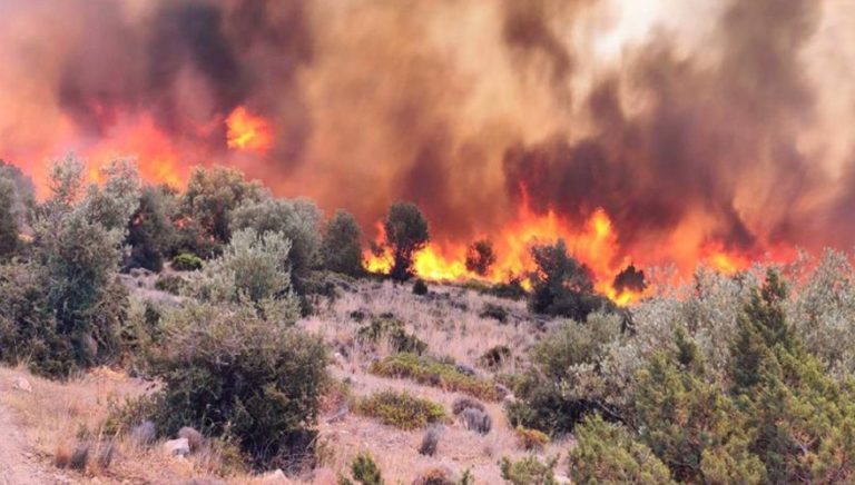 Δικηγόρος κάτοικος Αυλώνα ο ένας από τους συλληφθέντες για εμπρησμό! (videos)