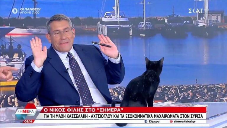 Μαύρη γάτα μπούκαρε στο στούντιο του ΣΚΑΪ (video)