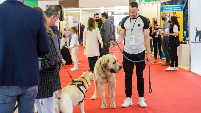 Θεσσαλονίκη: Πρεμιέρα για το Discover Dogs Festival