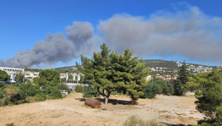 Σταμάτα: Πληροφορίες για σοβαρά τραυματισμένο άτομο! (videos)