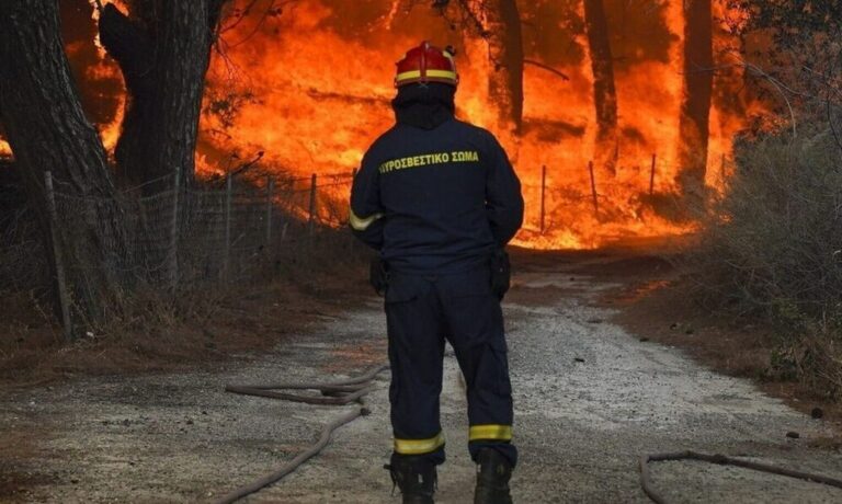 Δράμα: Φωτιά σε δασική έκταση στο Νευροκόπι