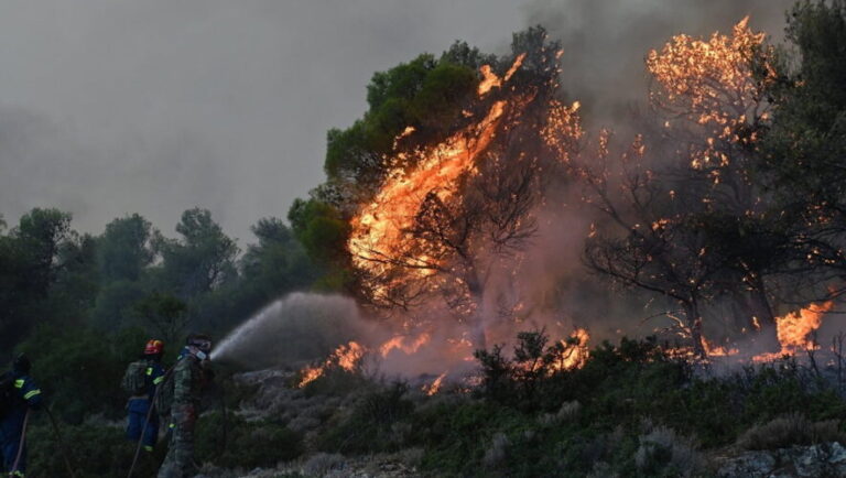 Θεσσαλονίκη: Μία σύλληψη για τη φωτιά στον Μελισσουργό