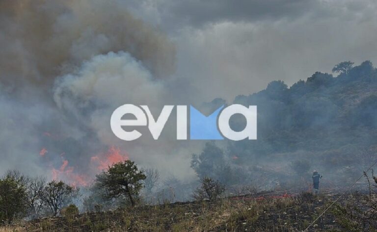 Φωτιά στον Αλμυροπόταμο Ευβοίας