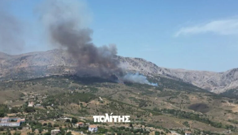 Μεγάλη φωτιά στη Χίο σε δύσβατο σημείο (pic-videos)