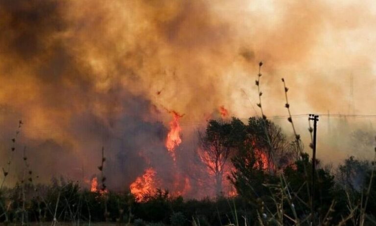 Φωτιά σε δασική έκταση στους Ασκητές Ροδόπης