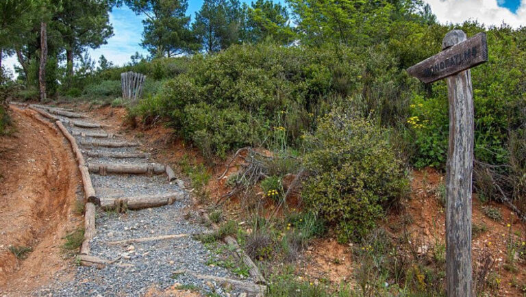 Θεσσαλονίκη: Προσήχθη νεαρός για φωτιά στο Σέιχ Σου