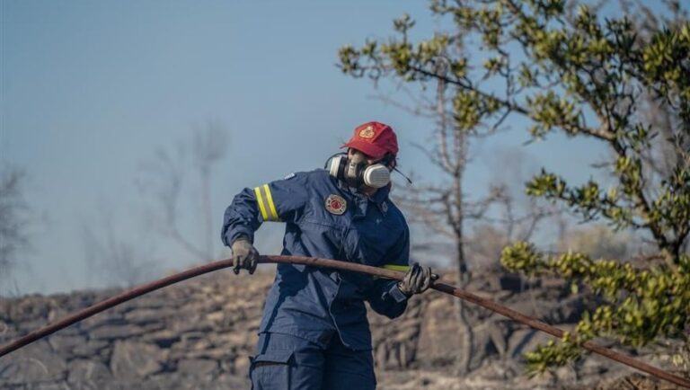 Αμαλιάδα: Βρήκαν ανθρώπινα οστά κατά τη διάρκεια κατάσβεσης φωτιάς…