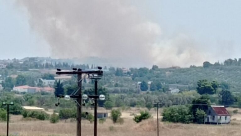 ΤΩΡΑ στη Θεσσαλονίκη: Φωτιά ανάμεσα σε Τρίλοφο και Πλαγιάρι