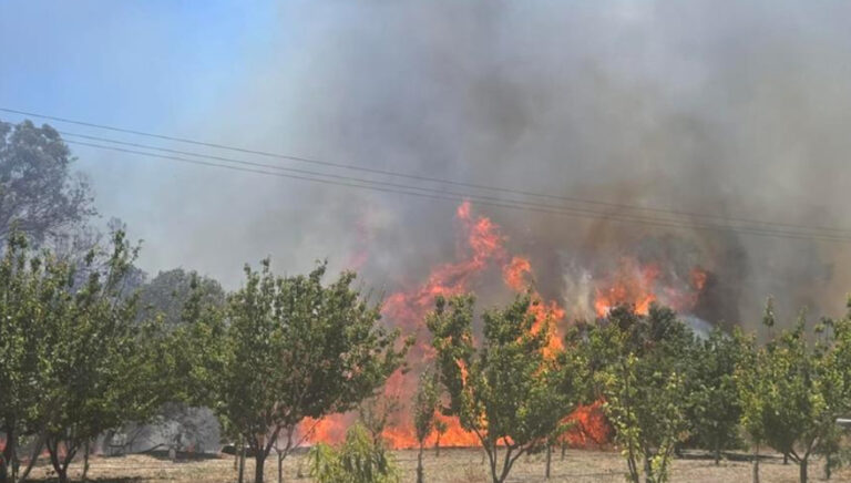 Φωτιά τώρα: Η κατάσταση στα πύρινα μέτωπα (videos)