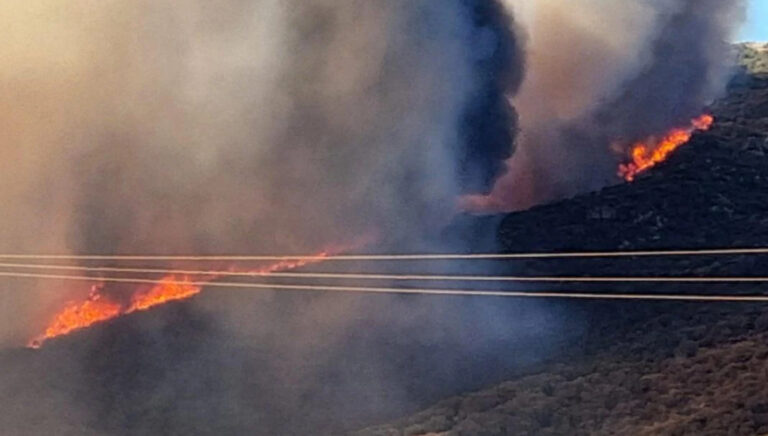 Φωτιά στην Εύβοια: Ανεξέλεγκτες οι φλόγες (videos)