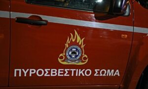 Φωτιά στην Συκιά Χαλκιδικής