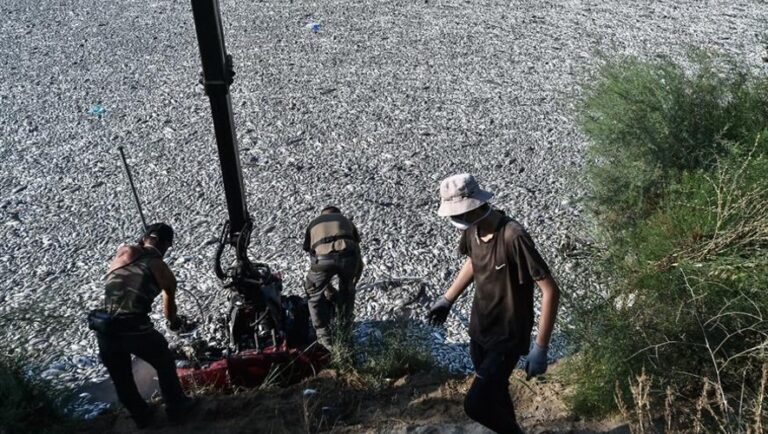 Νεκρά ψάρια στο Βόλο: Κατάσταση έκτακτης ανάγκης