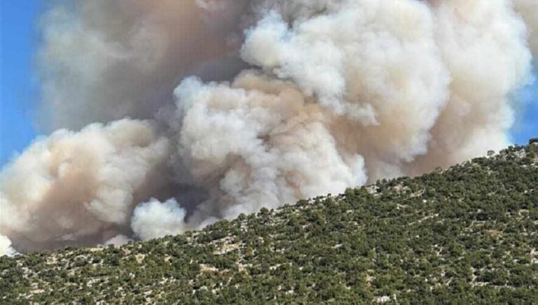 Μεγάλη φωτιά στη Θεσπρωτία