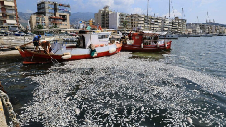 Καθάρισε ο Παγασητικός, μια βδομάδα μετά