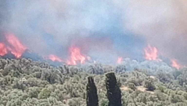 Μάχη με τις αναζωπυρώσεις στο Ρέθυμνο (videos)