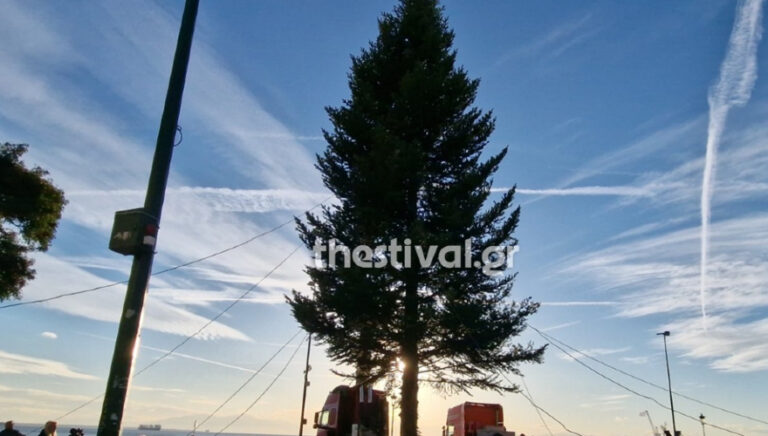 Έφτασε στη Θεσσαλονίκη το εντυπωσιακό έλατο 20 μέτρων (pics-videos)