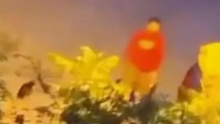 Κτηνωδία στην Καλαμαριά (video)