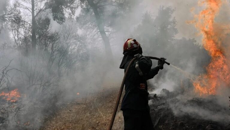 Χαλκιδική: Συνελήφθη 45χρονος για εμπρησμό