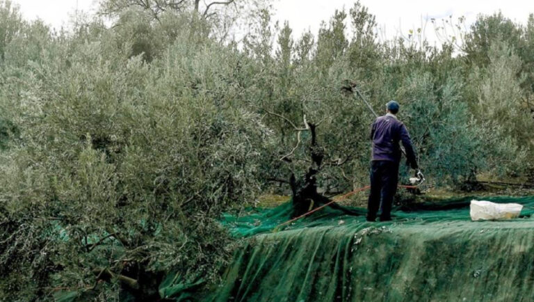 Σωρεία καταγγελιών για το σκάνδαλο του ΟΠΕΚΕΠΕ