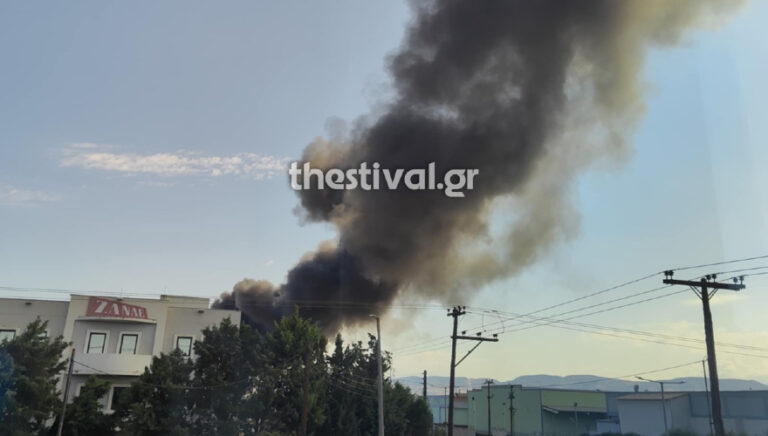 Θεσσαλονίκη: Μαίνεται η φωτιά στη Σίνδο (pic-videos)