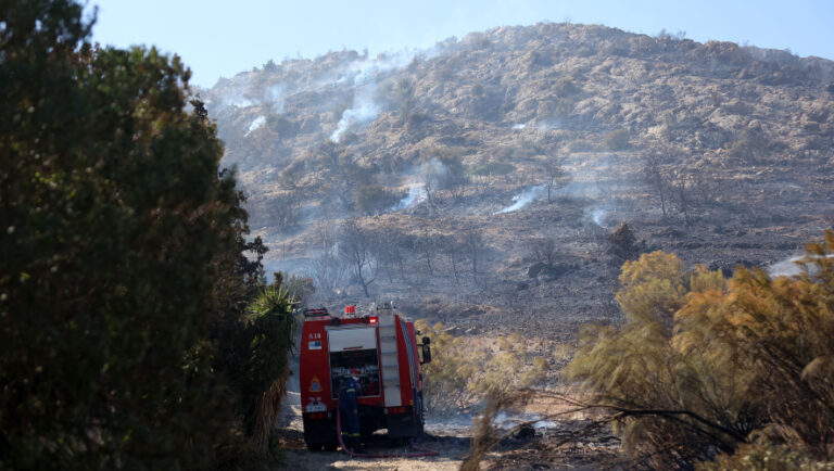 Ολονύχτια η μάχη με τις φλόγες στην Κάρυστο