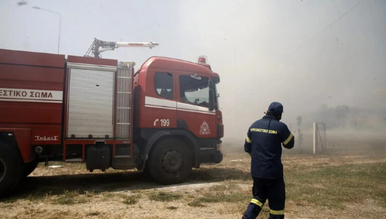 Χαλκιδική: Συναγερμός για πυρκαγιά έξω από το Λάκκωμα! (video)