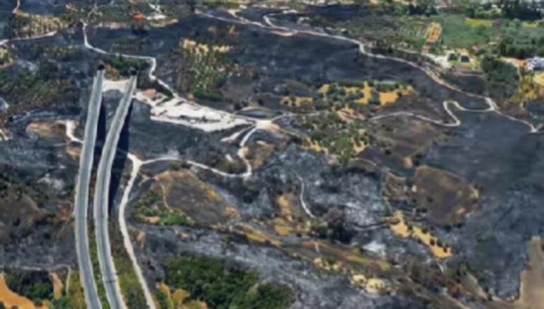 Φωτιά στην Πάτρα: Αποκαρδιωτικές εικόνες από την καταστροφή (videos)